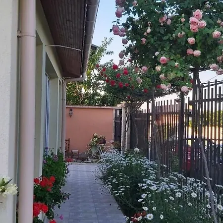 амида Casa de hóspedes