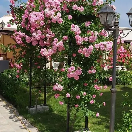 Casa de hóspedes амида 4*