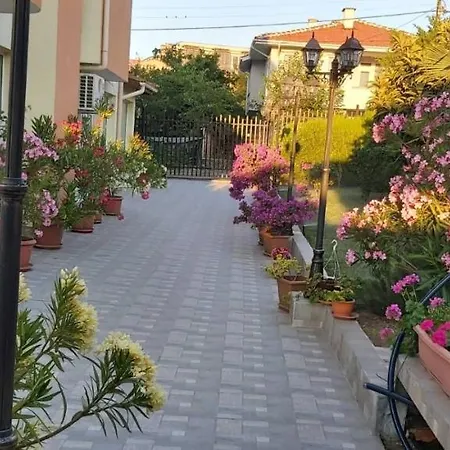 амида *