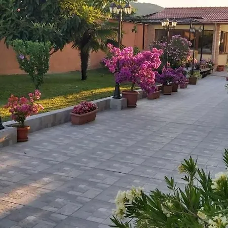 Pensionat амида 4*