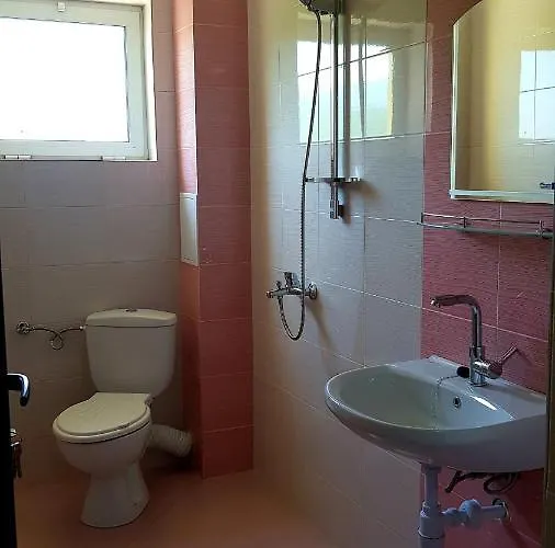 Gæstehus амида 4*