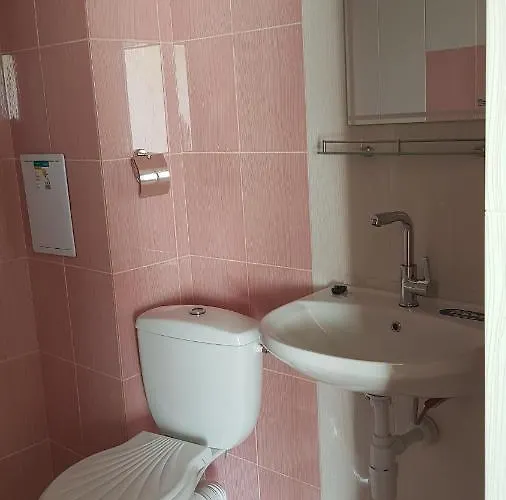 Gæstehus амида 4*