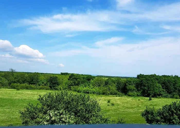 амида Gæstehus