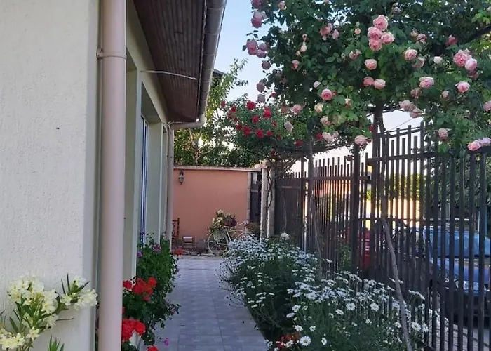 амида Gæstehus