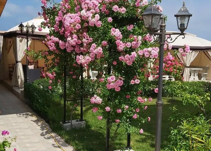 Gæstehus амида 4*